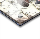 art   yid blessing at kotel 1 Acrylic print