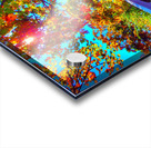 image 5 Acrylic print