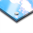 image 7 Acrylic print