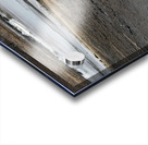 000006 Acrylic print