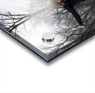 000019 Acrylic print