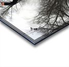 000017 Acrylic print