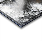 000018 Acrylic print