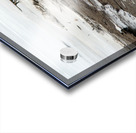 000005 Acrylic print