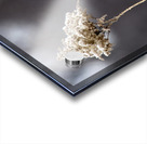 000013 Acrylic print