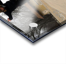 000015 Acrylic print