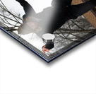 000016 Acrylic print