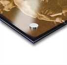 Foreman vs. Ali Boxing Viewfinder Slide Art Acrylic print