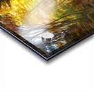 02 Cotton Hollow Autumn Glow Acrylic print