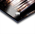 Forrest of The Sea Acrylic print