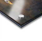 Watching Acrylic print
