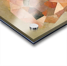 Rose and Spike - I Acrylic print