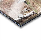 Lake Reflection Acrylic print