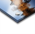 Second Chances Acrylic print