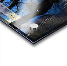 Night Reflection Acrylic print