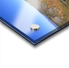 Acadia National Park October 2022 Acrylic print