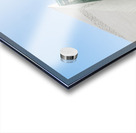 Chengdu Natural History Museum 2 Acrylic print