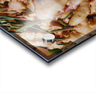 Ginger Acrylic print