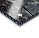 Old Wood and Shadow Acrylic print