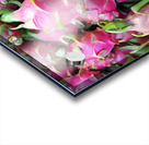 Dragon Fruits Acrylic print