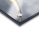 Stormy Longhorn Acrylic print