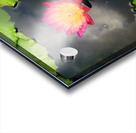 Water Lily Acrylic print