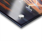 Lightning strikes.  Acrylic print