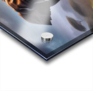 Elephant in the wild.  Acrylic print