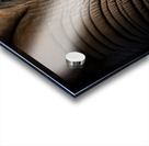 African Elephant Digital Portrait Acrylic print