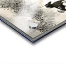 Wild Horses Acrylic print