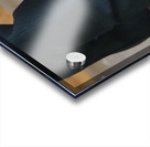 Country Bride And Groom Acrylic print