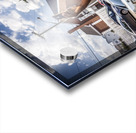 IMG_0462 Acrylic print