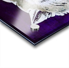 Vintage Washington Husky Art Acrylic print