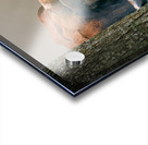 Longhorn Cow In Trees Acrylic print