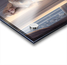 New York Show Dancer | GFA 004 Acrylic print