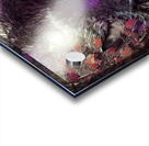 47986FC7 E3D5 414E 8E39 9A47E6B00F66 Acrylic print