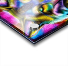 9AE12ABE 10DB 4920 A861 D34B439F5F9C Acrylic print