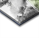 Winter in Summer Acrylic print