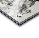 Beautiful Heart Acrylic print