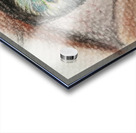 Eye Acrylic print