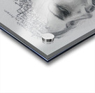 The Pain Within Acrylic print