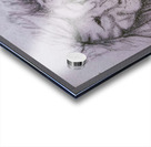 Silent Roar Acrylic print