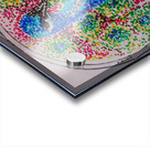 Peacock Acrylic print