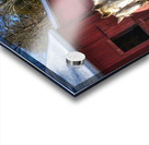 22 Horses in Winter Coats Acrylic print