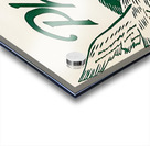 Philadelphia Eagles Metal Sign Acrylic print