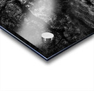 DJ 08131 Acrylic print