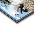 Art   Tefillin Army Tank 2 A Acrylic print