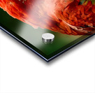 F86E1361 5A23 4A0F 9C78 4DABEE3AD4EA Acrylic print