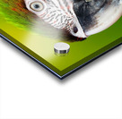 7F95D3C0 81A8 4645 9E33 E8E0E041A368 Acrylic print