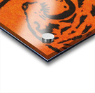 Detroit Tigers Throwback Logo Art Acrylic print